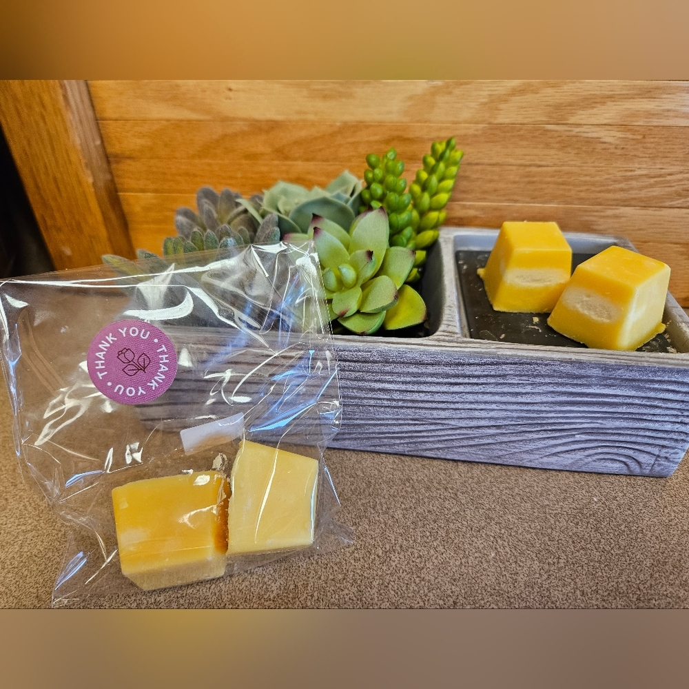 Citrus Fresh Wax Melts